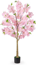Pink Cherry Blossom Tree
