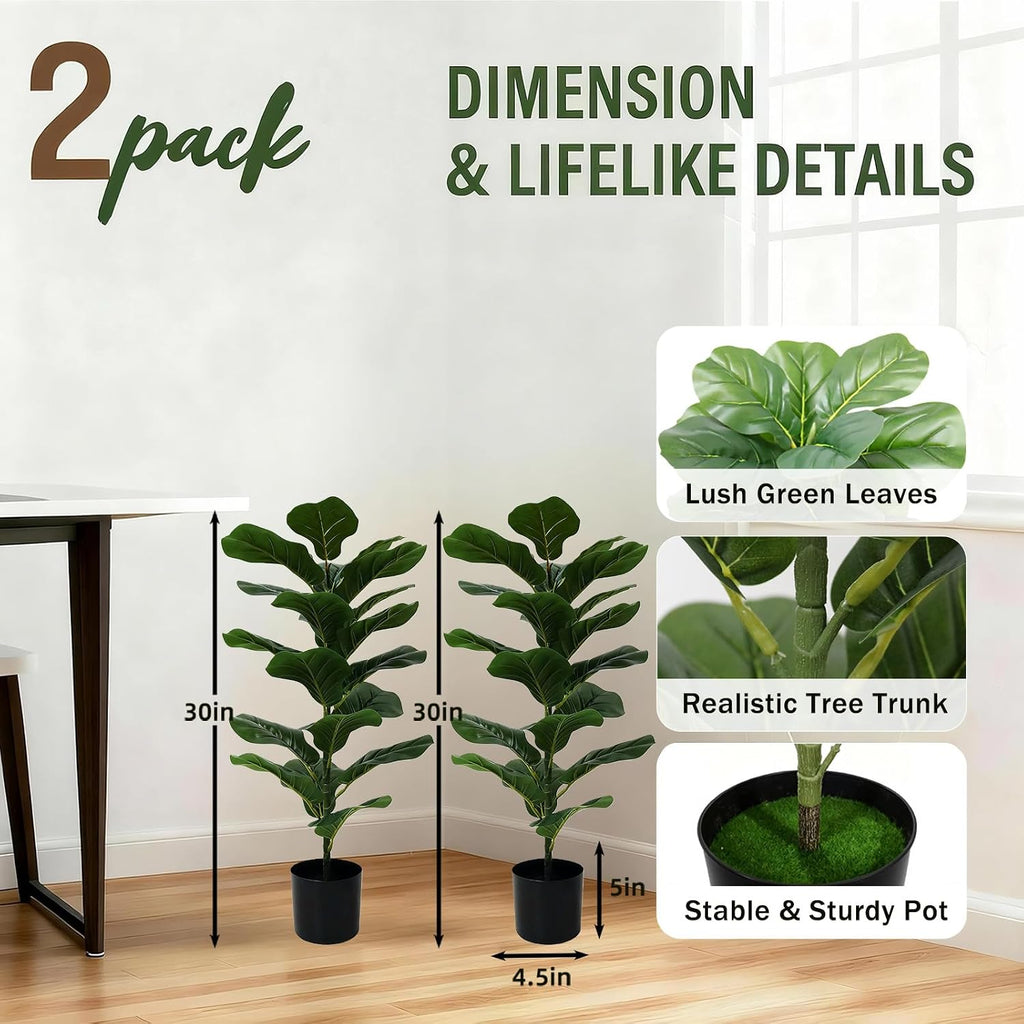 2-Pack Fiddle Leaf Fig Tree