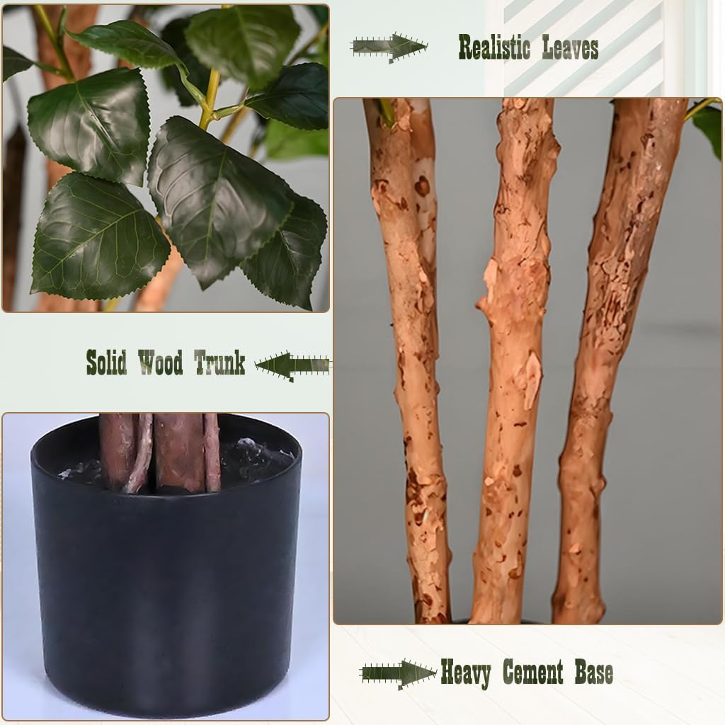 2-Pack Camellia Trees