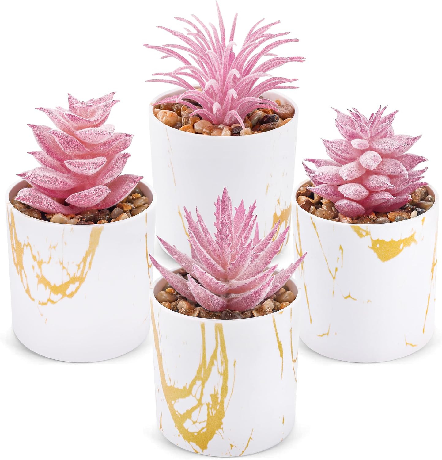4-Pack Small Potted Succulent Plants