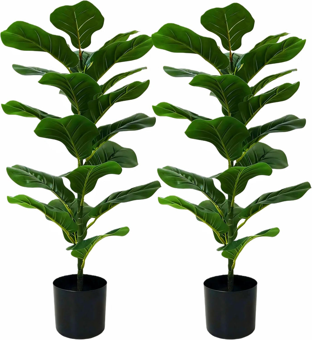 2-Pack Fiddle Leaf Fig Tree