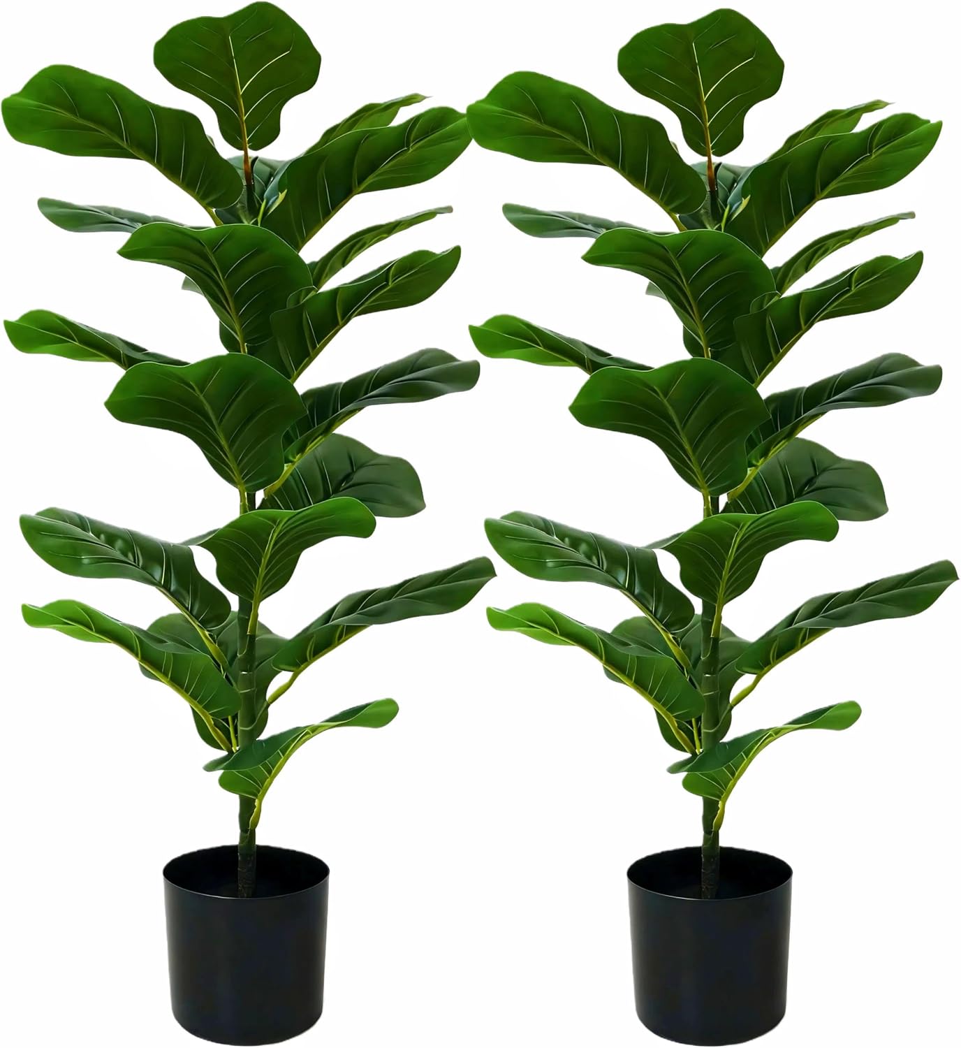 2-Pack Fiddle Leaf Fig Tree