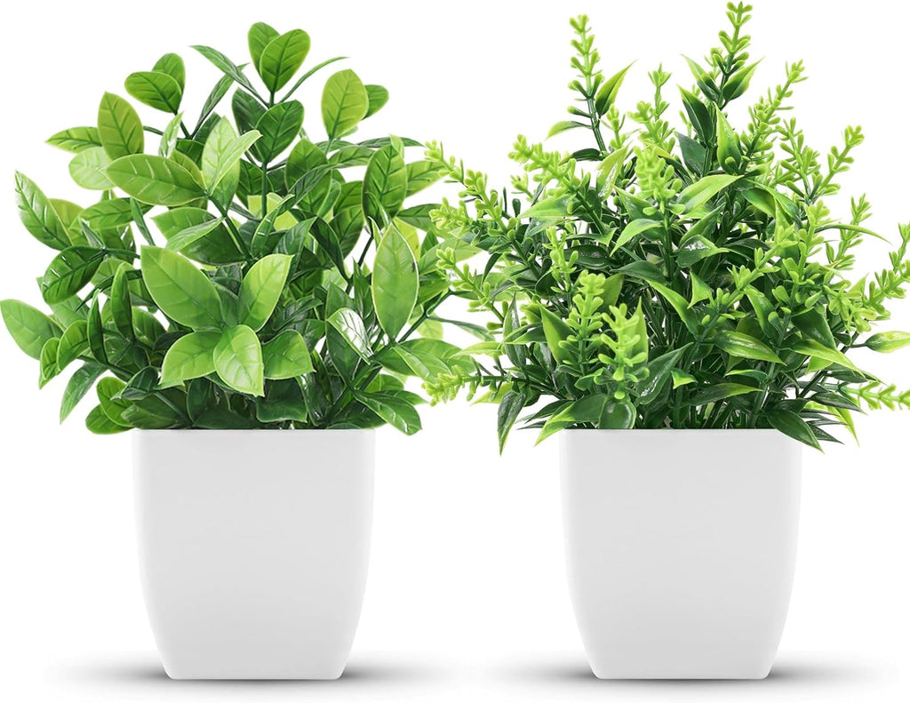 2-Pack Small Potted Plants
