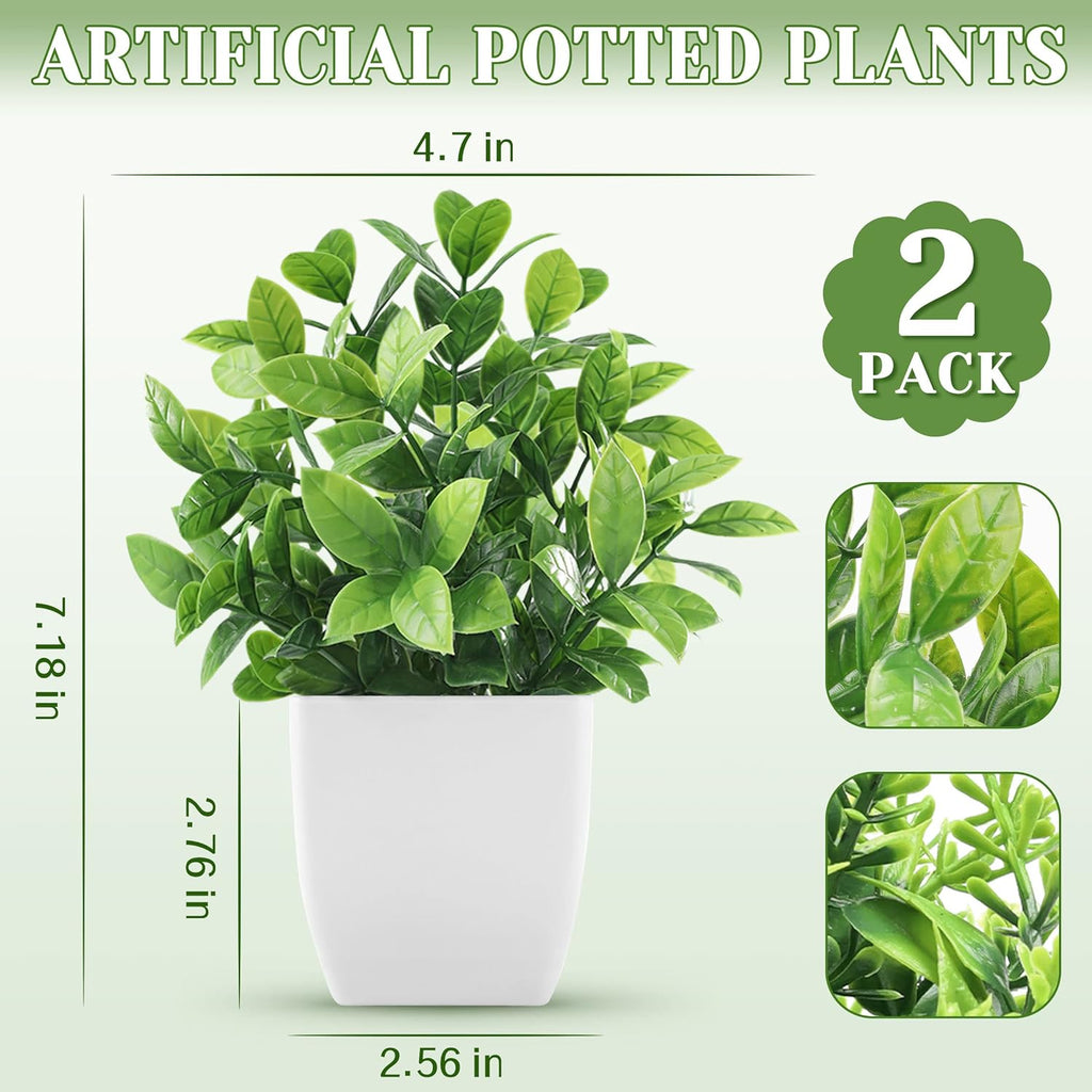 2-Pack Small Potted Plants