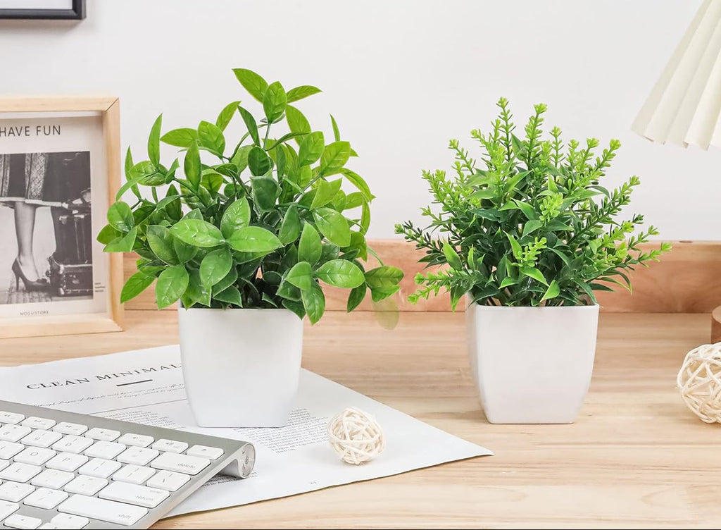 2-Pack Small Potted Plants