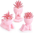 3-Pack Succulent Plants Human Shaped Pots