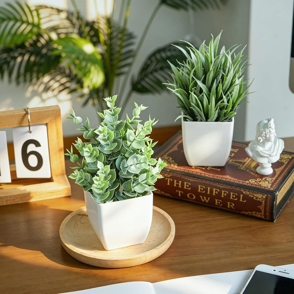 2-Pack Small Potted Plants