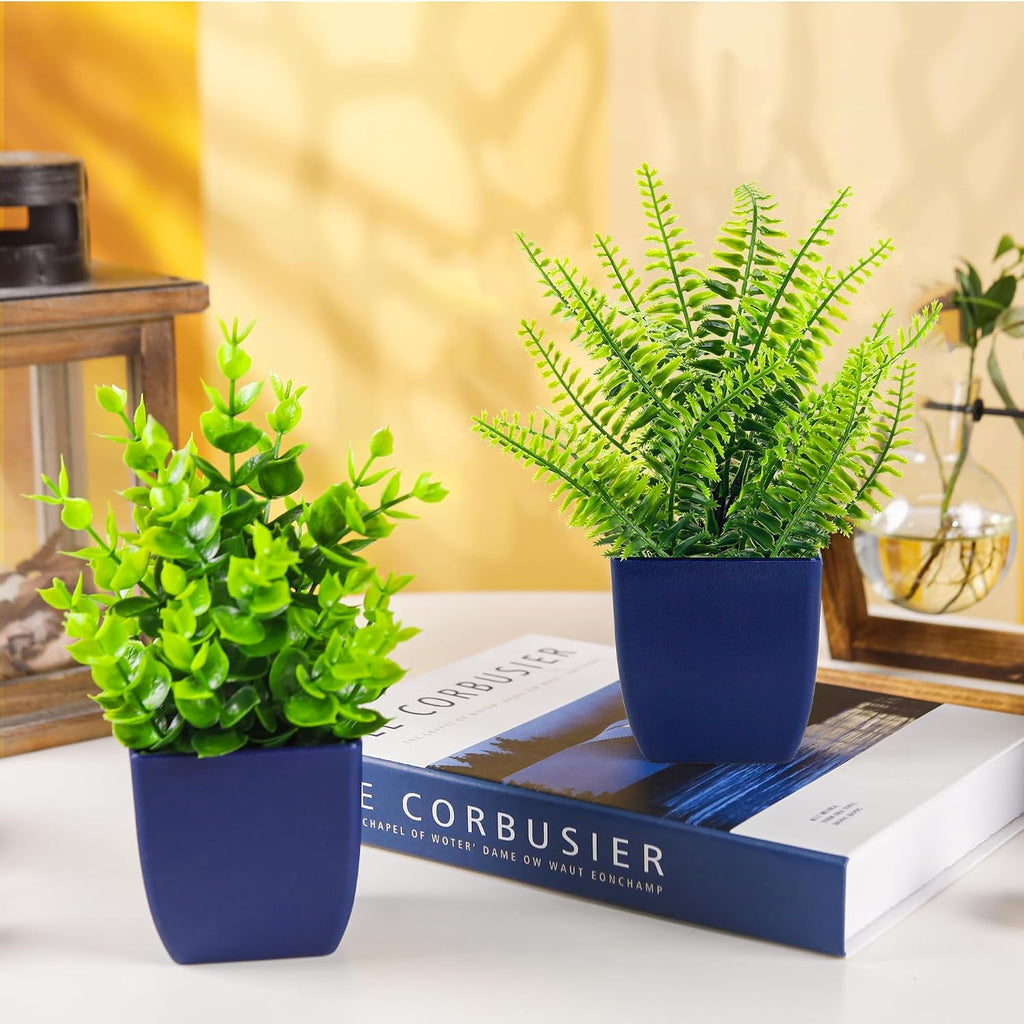 2-Pack Small Potted Plants