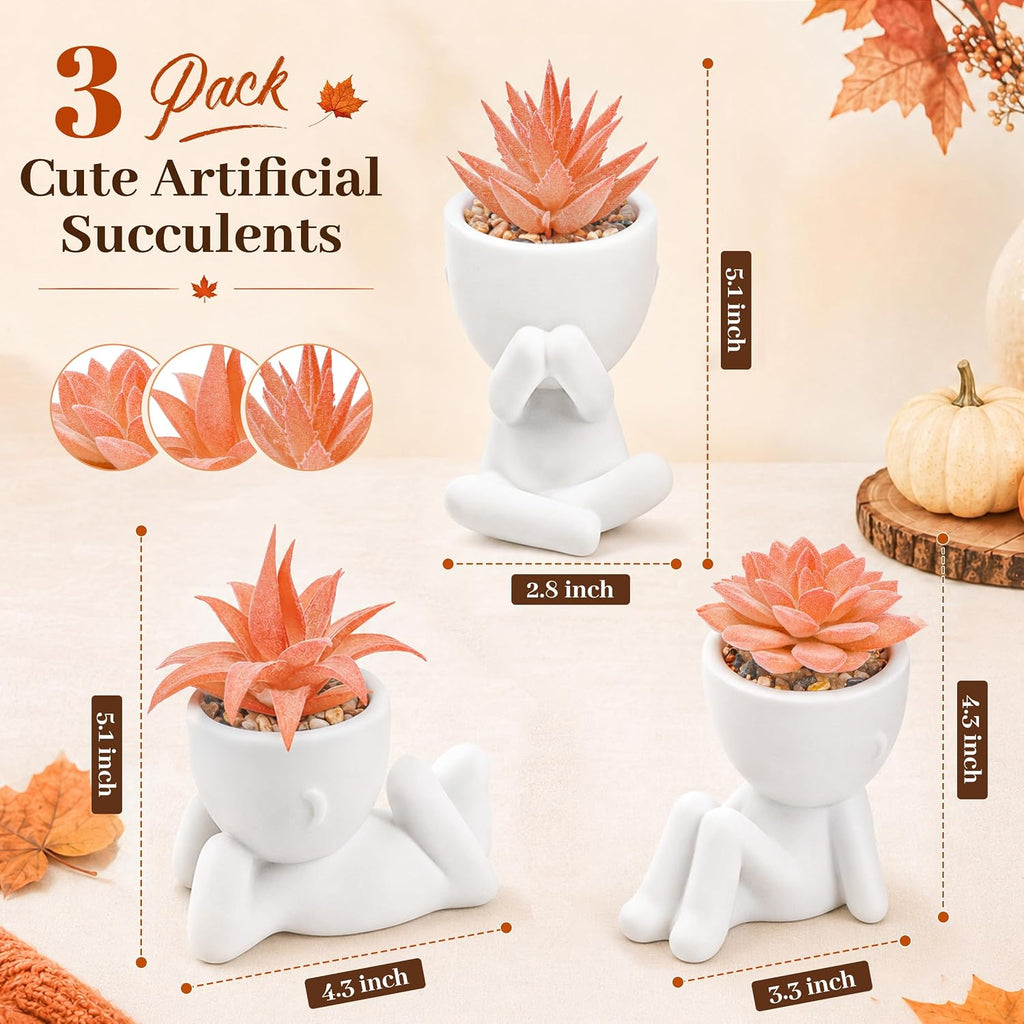 3-Pack Succulent Plants Human Shaped Pots
