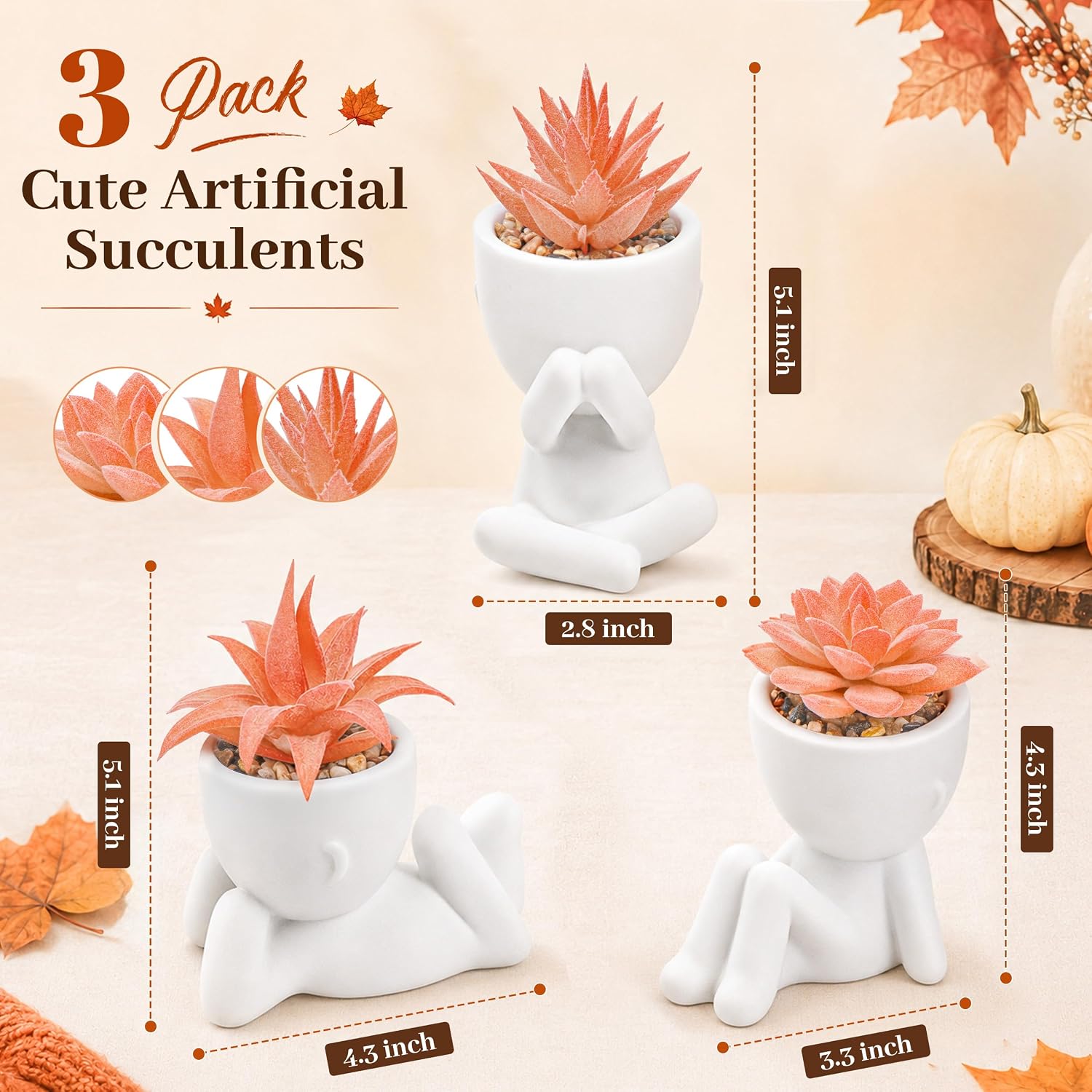 3-Pack Succulent Plants Human Shaped Pots