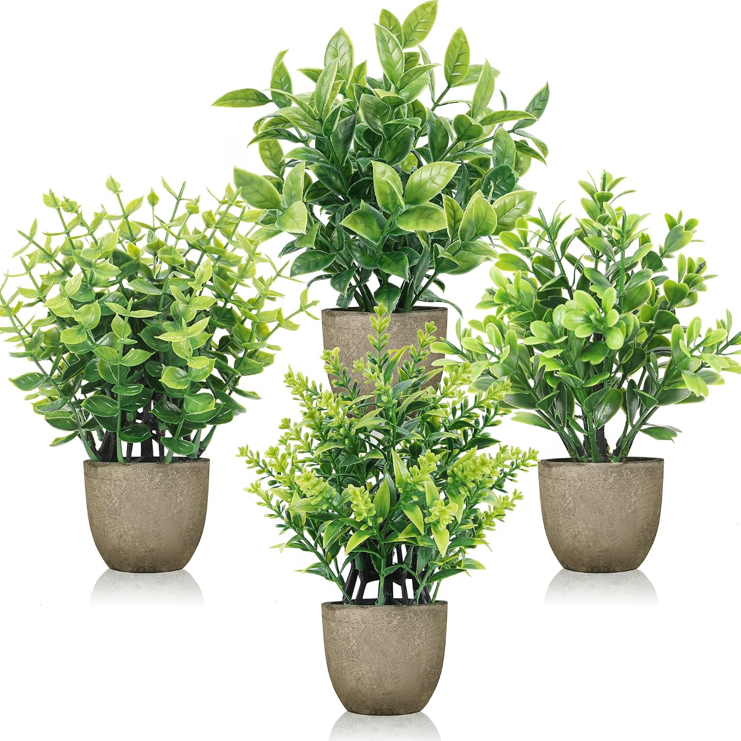 4-Pack Small Potted Plants